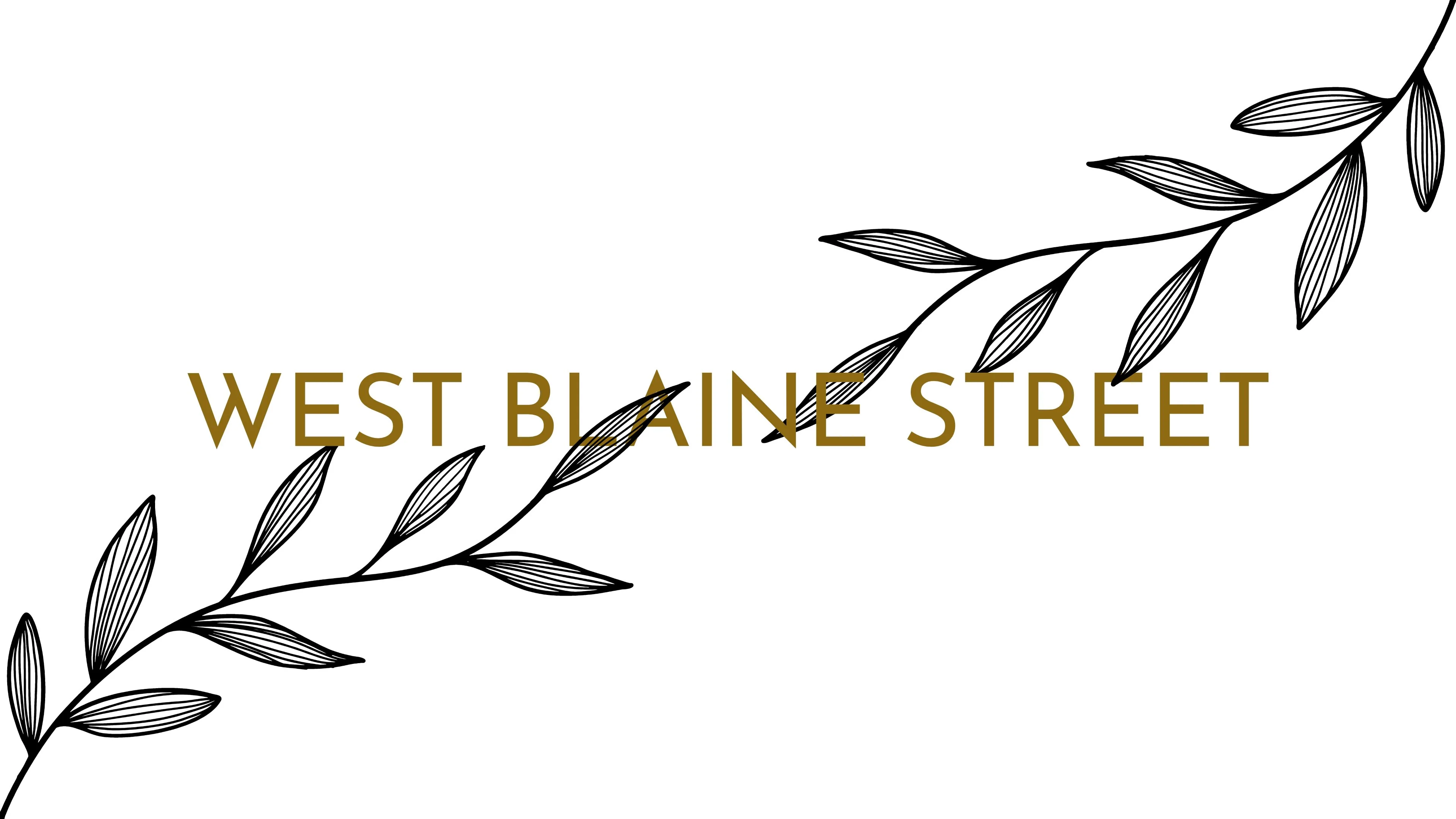 WBS branding